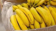 Anzeichen dafür, dass Sie diese Bananen um jeden Preis meiden sollten – kaufen Sie sie niemals
